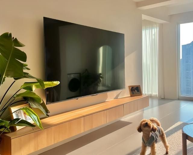 等第2套房，一定不装“电视柜”，学他家这么设计，太高级了！ - 家居知识