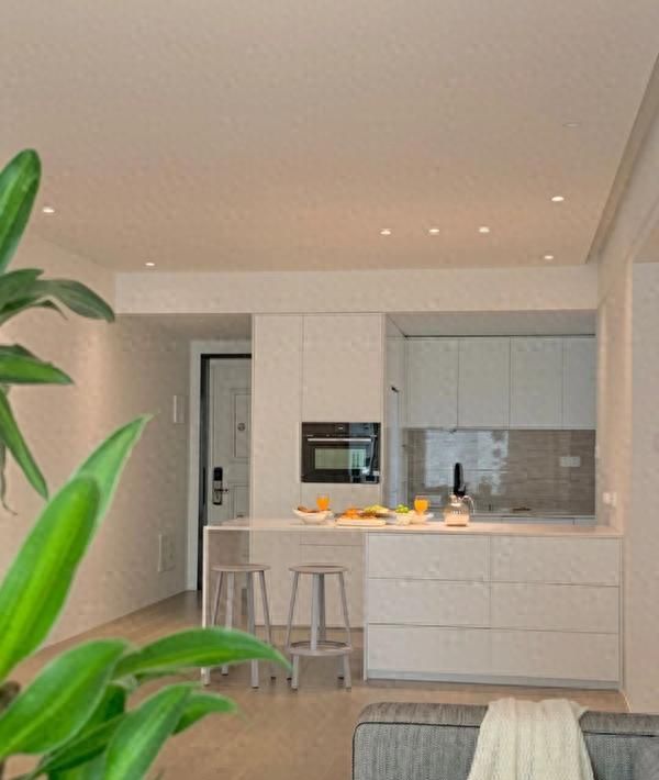 广东女子极简新家走红，空无一物的治愈风引热议