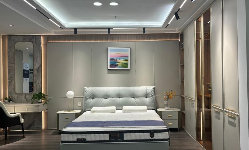 口碑好的柜子定制厂家推荐：强力家具打造专属电视柜 - 家居知识