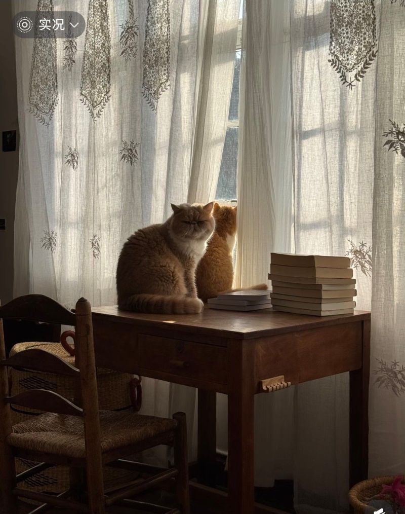 上海女生的美式家居装修，暖色复古温馨治愈 - 家居知识