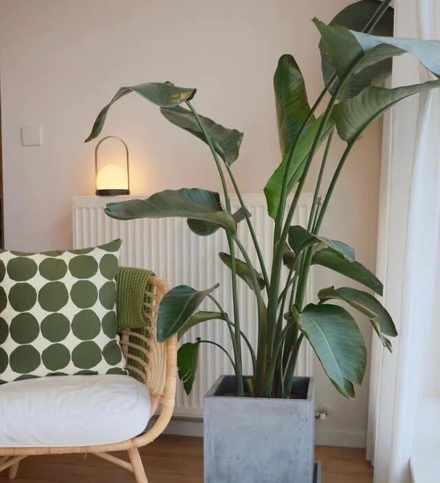 看了68㎡禅意小屋，才知日式风有多高级，仅一玄关就被无数人效仿 - 家居知识