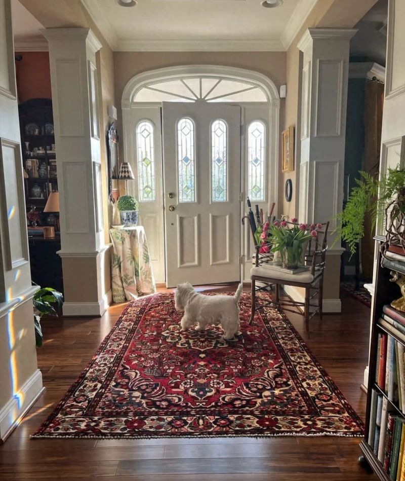 美式小屋与宠物共度的优雅生活，经典家具与华丽地毯的完美搭配