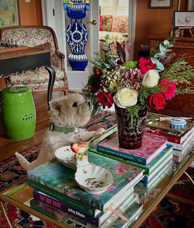 美式小屋，传统经典家具华丽地毯装饰，与宠物一起优雅生活 - 家居知识