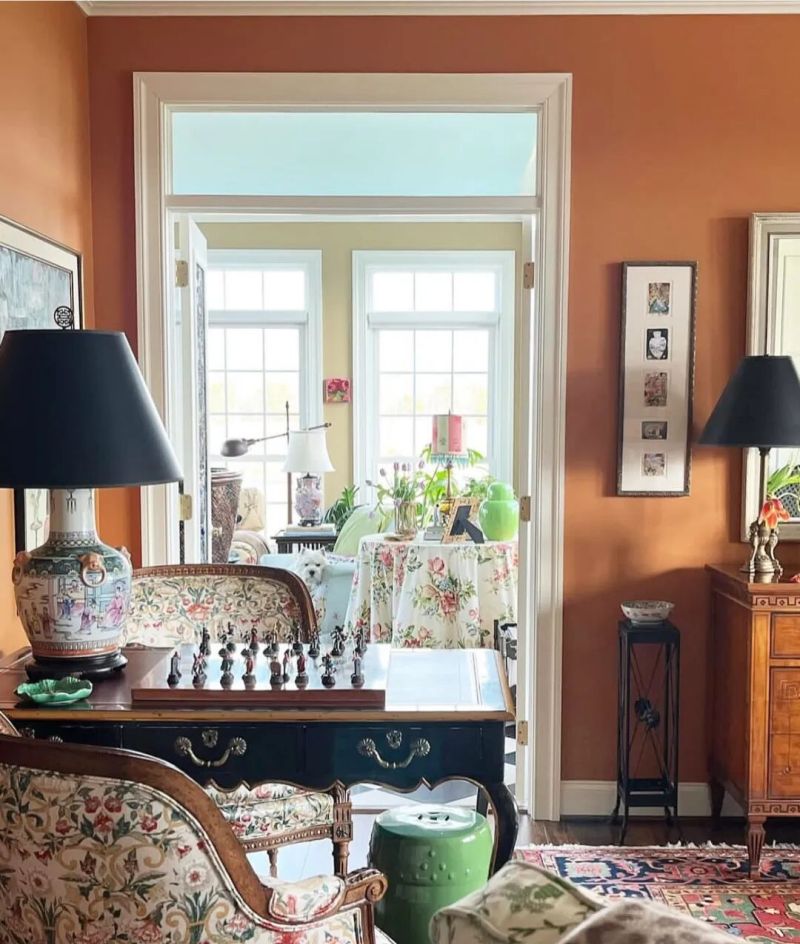 美式小屋，传统经典家具华丽地毯装饰，与宠物一起优雅生活 - 家居知识