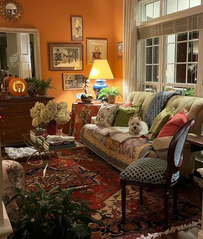美式小屋，传统经典家具华丽地毯装饰，与宠物一起优雅生活 - 家居知识