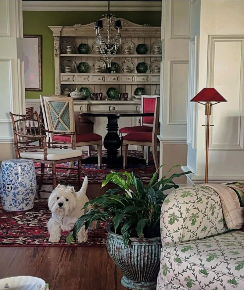 美式小屋，传统经典家具华丽地毯装饰，与宠物一起优雅生活 - 家居知识