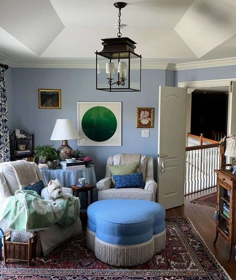 美式小屋，传统经典家具华丽地毯装饰，与宠物一起优雅生活 - 家居知识