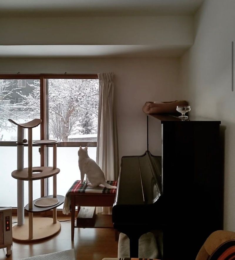 喜欢的家，日式原木小家 - 家居知识