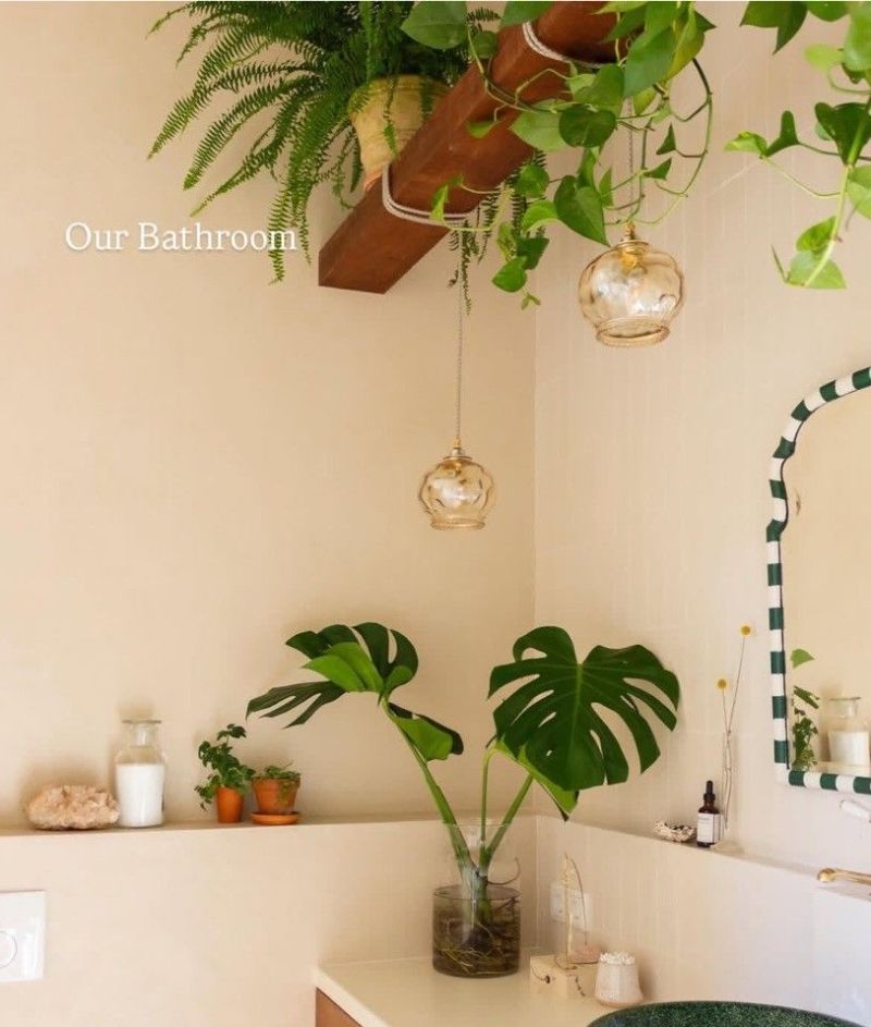 荷兰女主的老房，大胆配色混合风格温暖迷人，展现与众不同的风采 - 家居知识