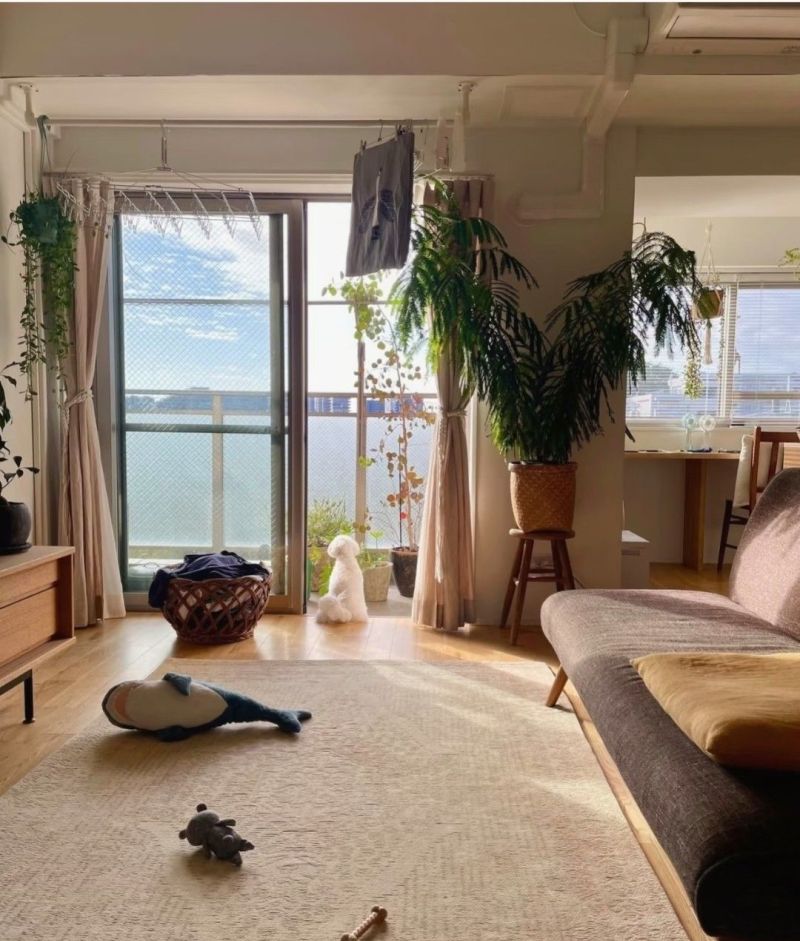 日本博主的四口之家：舒适温馨的原木风，日剧既视感 - 家居知识