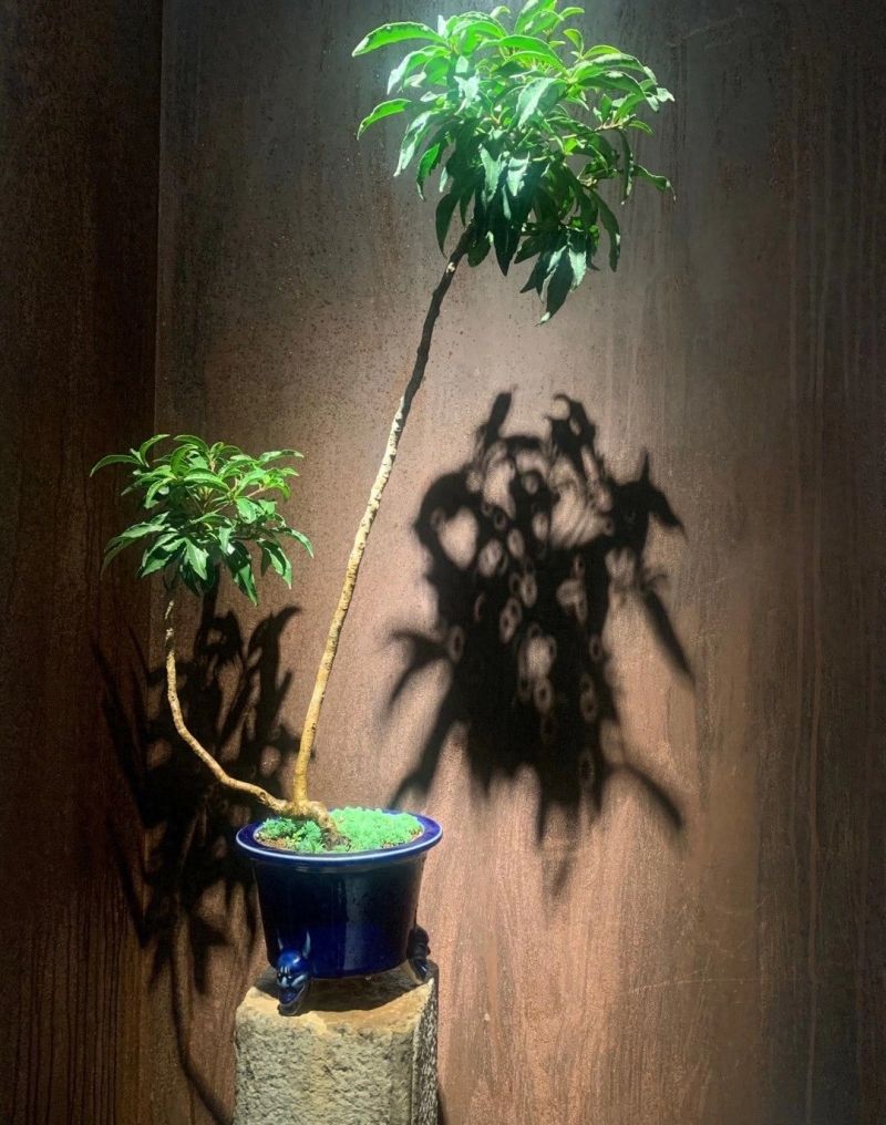 实力与口碑兼具，简约与中式风格室内装修公司性价比推荐