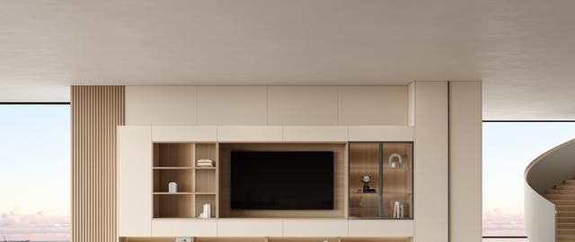 电视墙别只挂电视，定制满墙柜；收纳翻倍还显大 - 家居知识
