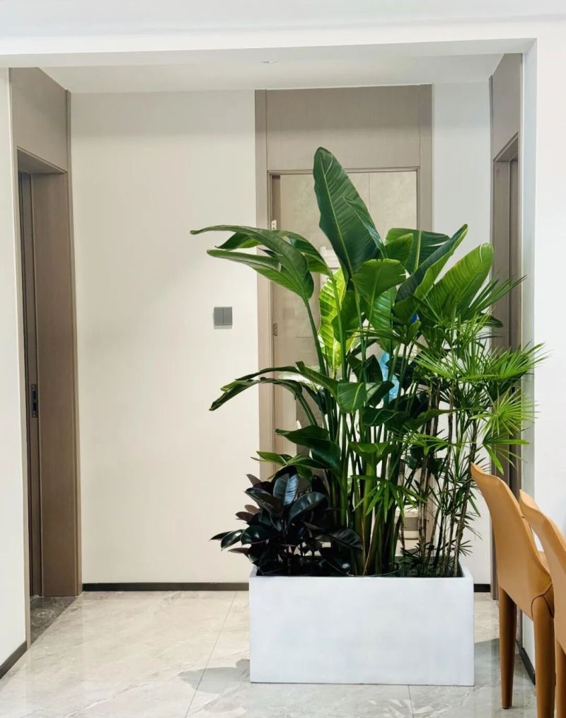 进门就能看见厕所怎么办？看看年轻人家里的设计，那叫一个高级 - 家居知识