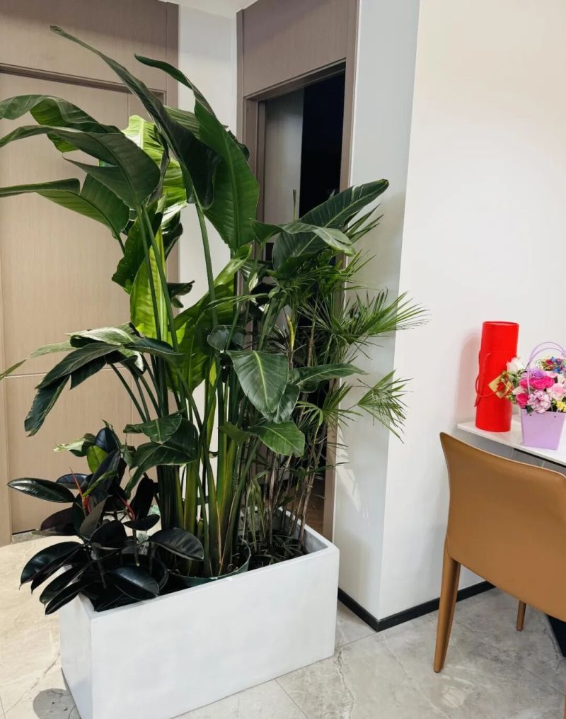 进门就能看见厕所怎么办？看看年轻人家里的设计，那叫一个高级 - 家居知识