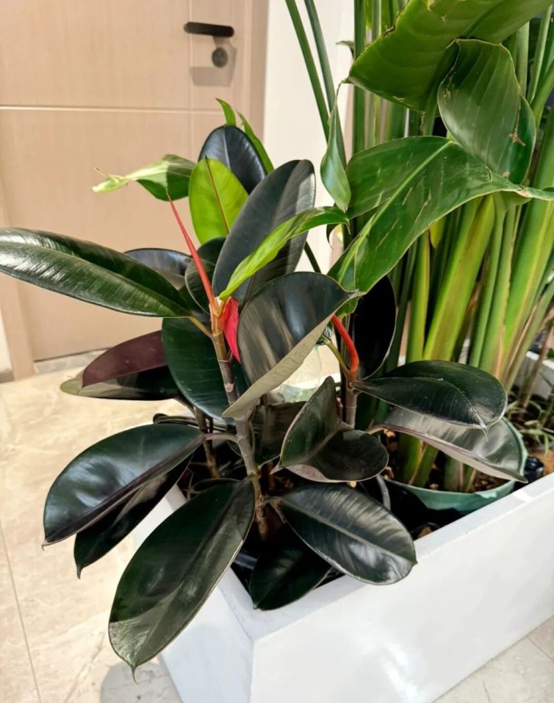 进门就能看见厕所怎么办？看看年轻人家里的设计，那叫一个高级 - 家居知识