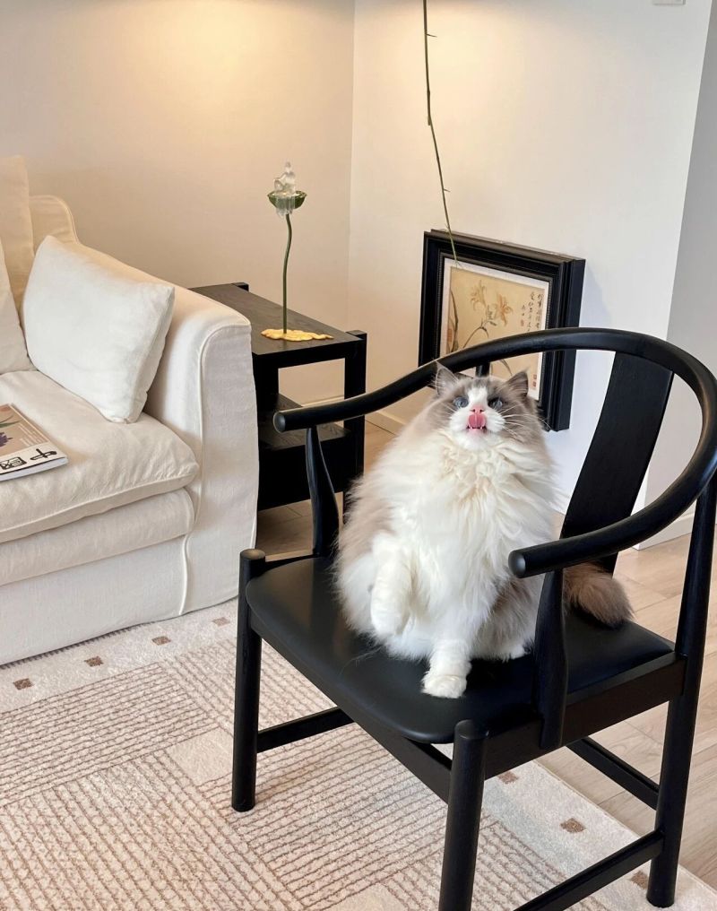 人生第一次装修，新中式才是审美尽头 - 家居知识