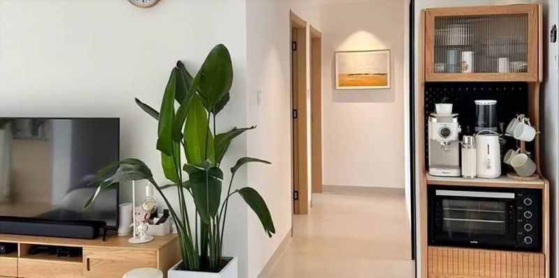 打造温馨之家：拒绝跟风，拥抱自然原木风格 - 家居知识