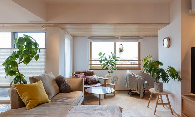 日本一52岁太太，因太会布置而走红，全屋简单清爽，治愈许多人！ - 家居知识