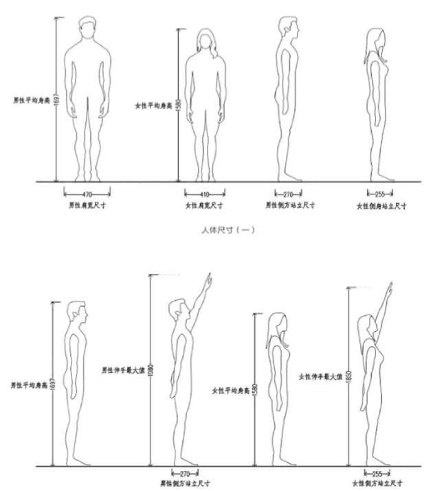 室内设计中的人体工程学大概有哪些？ - 家居知识