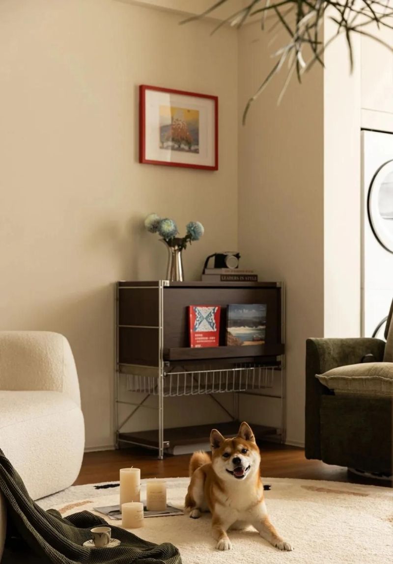 谁说小户型只能将就？95㎡二居中古风与包豪斯的优雅共生 - 家居知识