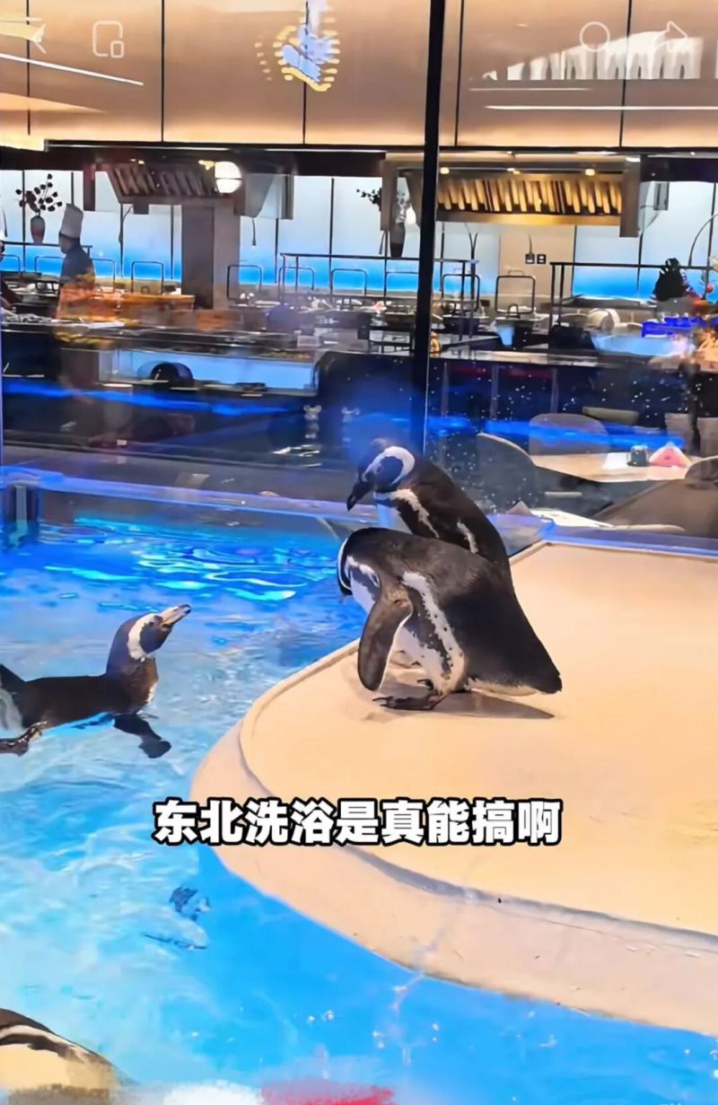 卷飞了的沈阳澡堂子，爆改好莱坞片场 - 家居知识