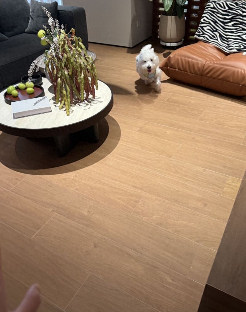 实力原木风装修厂商推荐，哪家更靠谱？