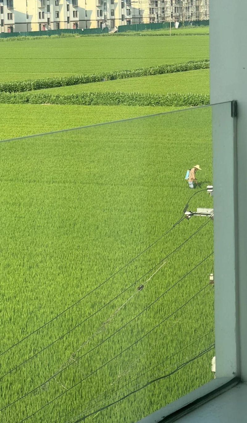 自然风天花板！90后设计师：用原木、光影与留白重构理想生活 - 家居知识