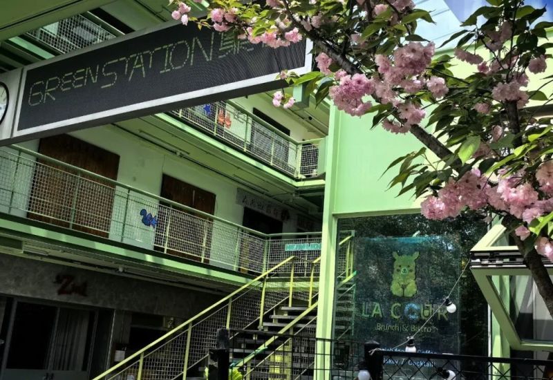 已刷爆小红书！这处韩系ins风薄荷绿房子太出片，人气暴涨，周边还藏着那么多宝藏小店！ - 家居知识