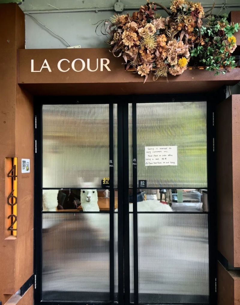 已刷爆小红书！这处韩系ins风薄荷绿房子太出片，人气暴涨，周边还藏着那么多宝藏小店！ - 家居知识