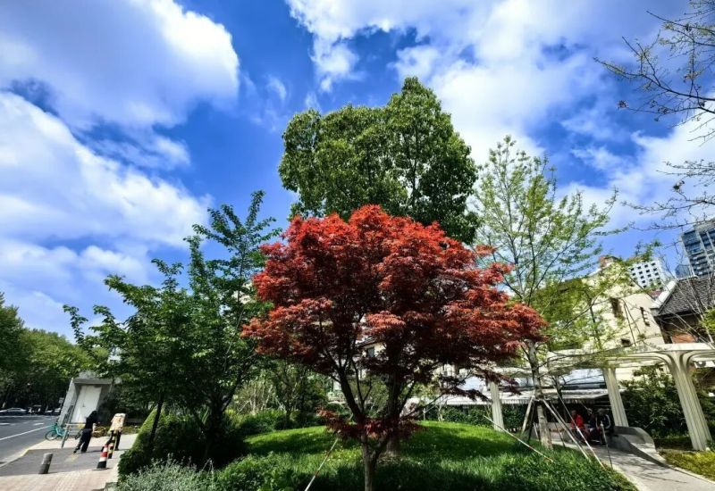 已刷爆小红书！这处韩系ins风薄荷绿房子太出片，人气暴涨，周边还藏着那么多宝藏小店！ - 家居知识