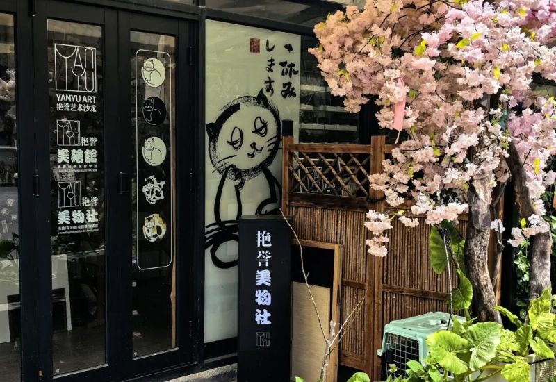 已刷爆小红书！这处韩系ins风薄荷绿房子太出片，人气暴涨，周边还藏着那么多宝藏小店！ - 家居知识