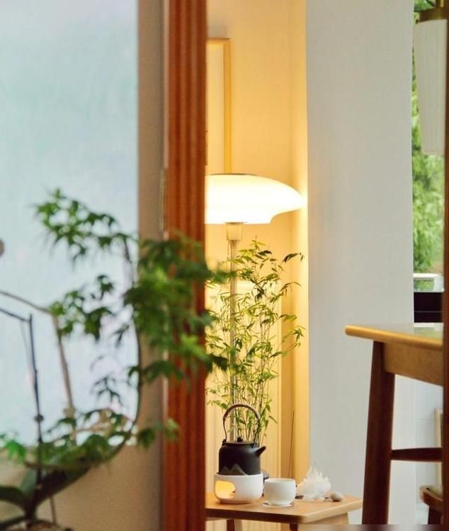 江西一阿姨，因“极简装修”而走红，无吊顶、主灯，那叫一个高级 - 家居知识