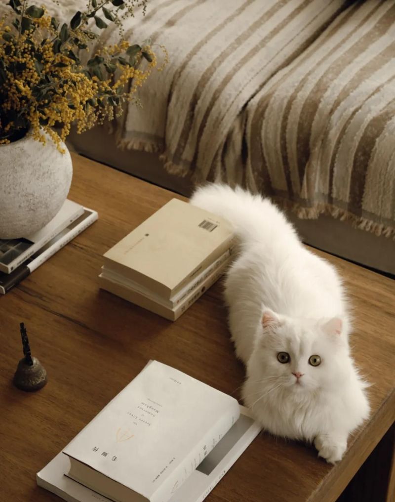 栖居梦寐的美式风情 - 家居知识